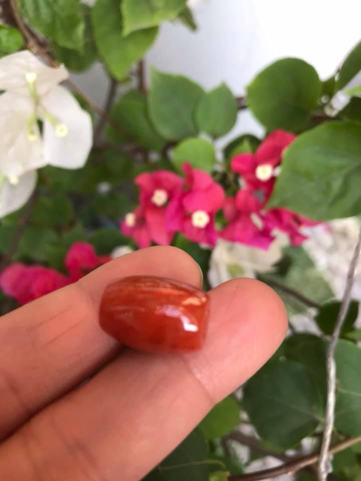 HẠT LU ĐÁ CẨM THẠCH TỰ NHIÊN ĐỎ CAM BÓNG ĐẸP LÀM MẶT DÂY CHUYỀN và PHỐI VÒNG TAY NỮ MỆNH HỎA THỔ Size HẠT LU Dài 16mm x dầy 12mm