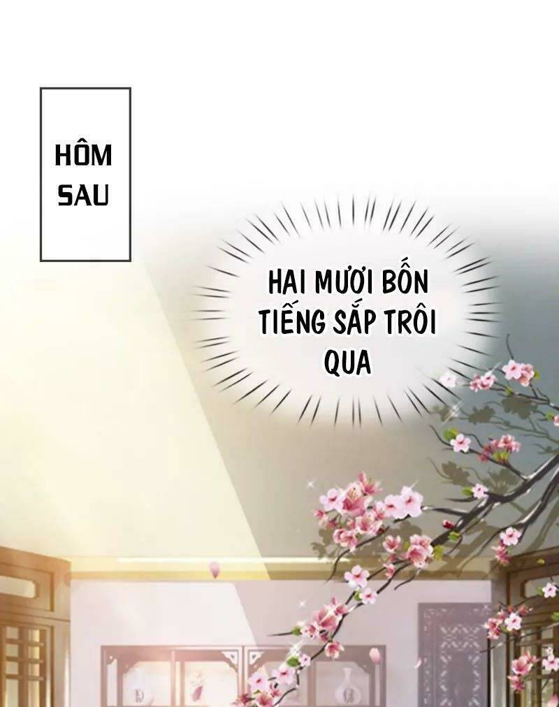chí tôn hồng bao hoàng đế chapter 11 22