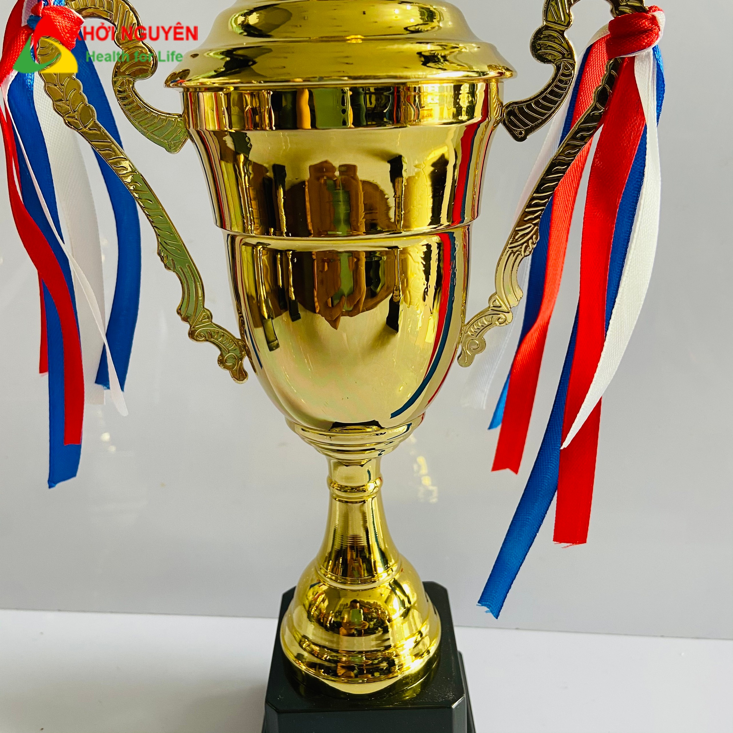 Cup kim loại 162bc, Size 29-32 cm, Vinh danh các nhân, tập thể xuất sắc