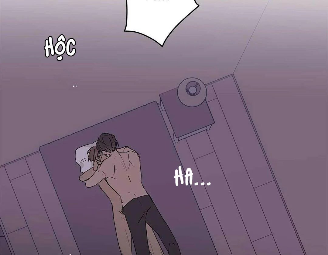 guide cấp b chapter 21 119