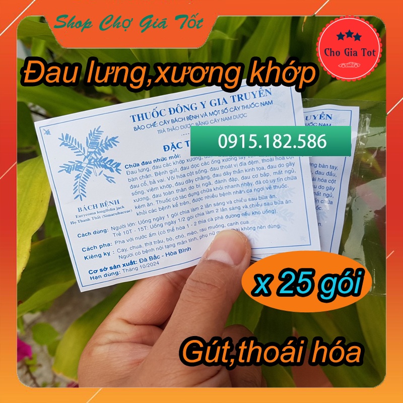 Liệu Trình 25 gói Đông y gia truyền cây bách bệnh Hòa Bình đau xương khớp gút thoái hóa