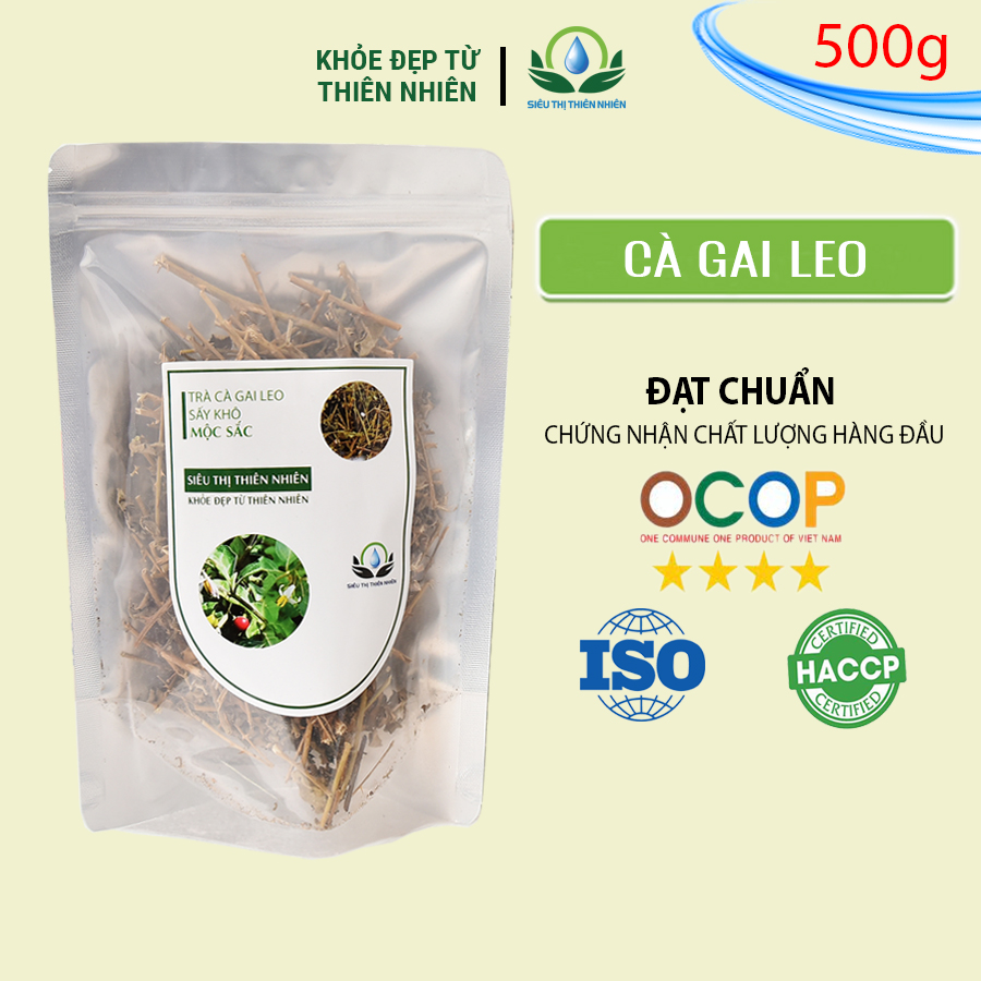 Cà Gai Leo Sấy Khô Mộc Sắc 500g