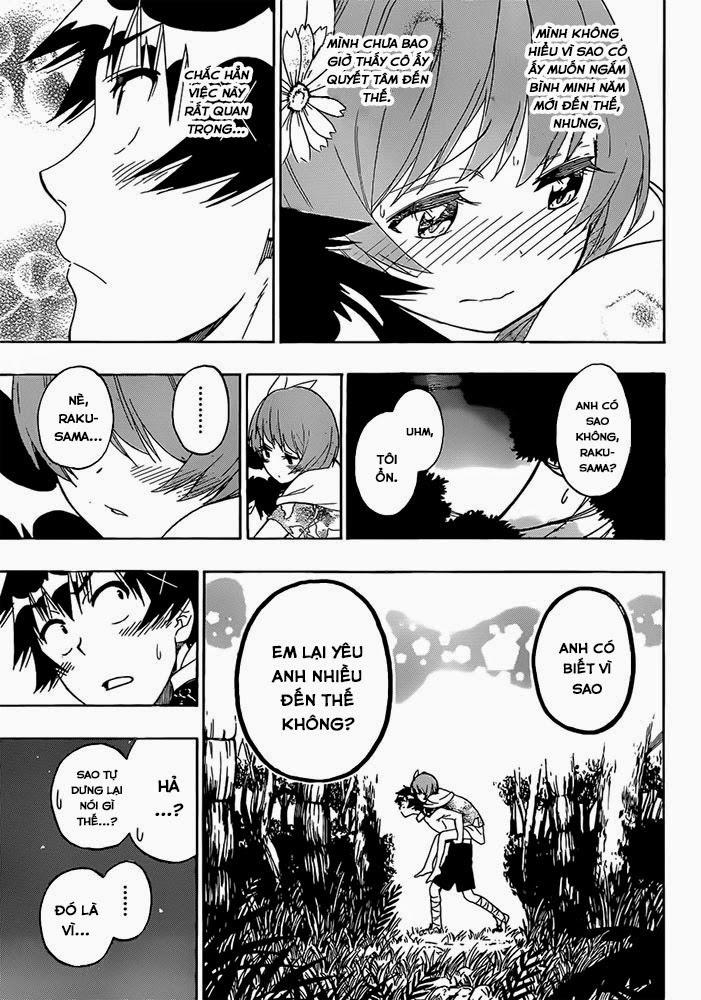 nisekoi - tình yêu giả tạo chapter 171 12