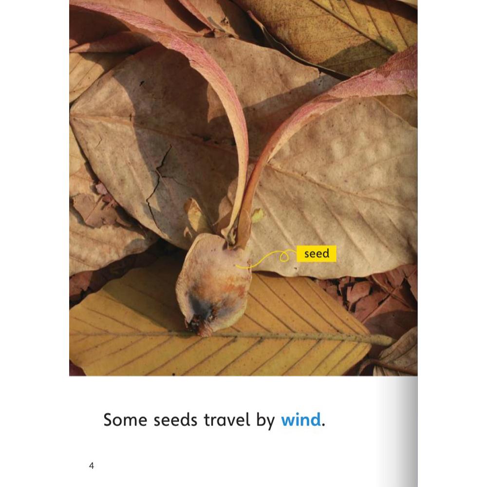 [Compass Reading Level 1-7] Seeds Travel - Leveled Reader with Downloadable Audio