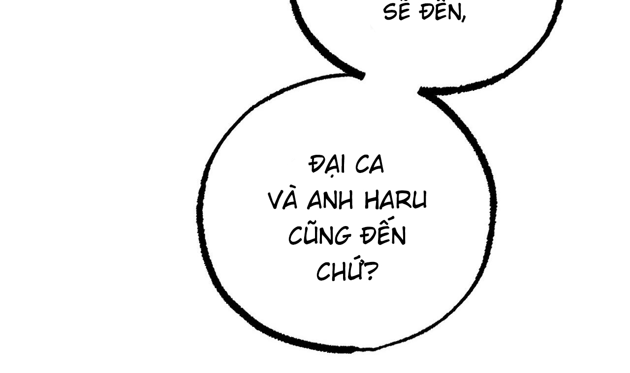 NHỮNG CHÚ THỎ CỦA HAPYPY chapter 56