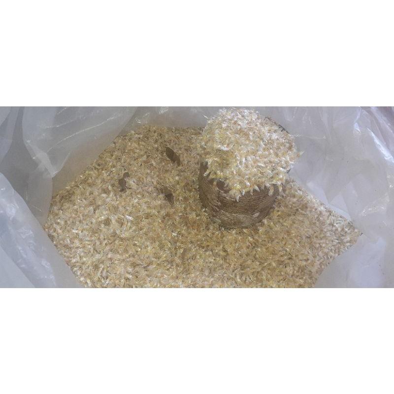 1 lon hạt núc nác giống