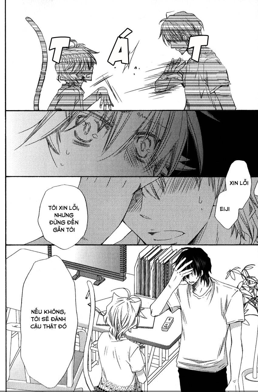 aigan kitty chapter 1 34