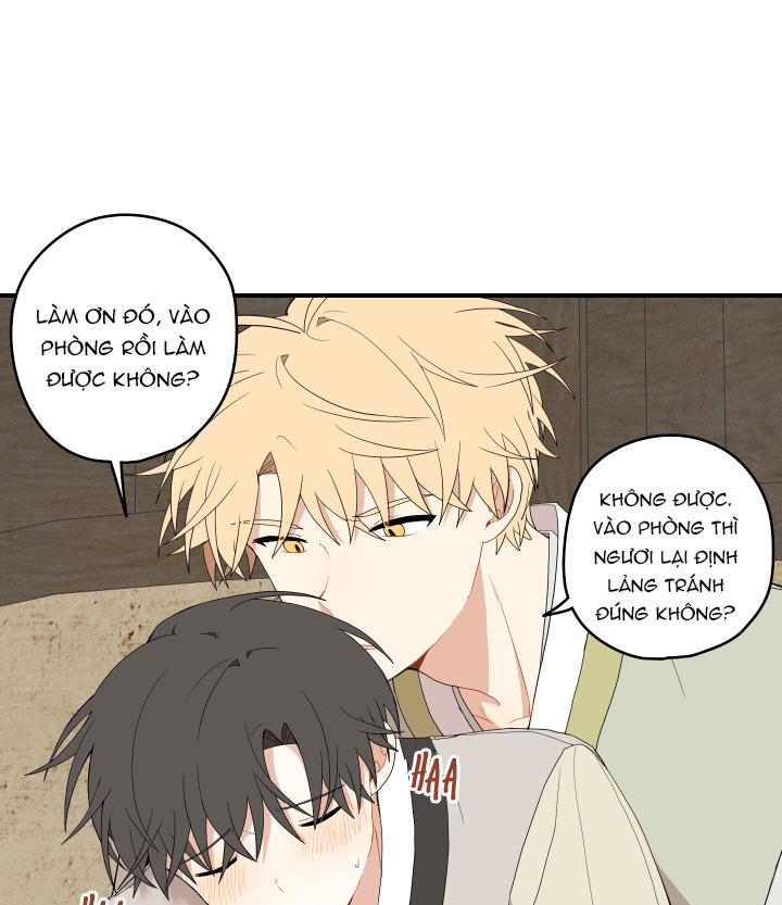 đường hoa liên kiều rơi chapter 21 23