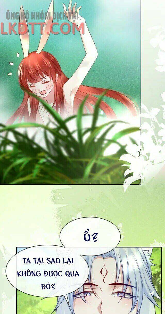 hắc hóa nam chính trực tuyến nuôi thỏ chapter 25 15