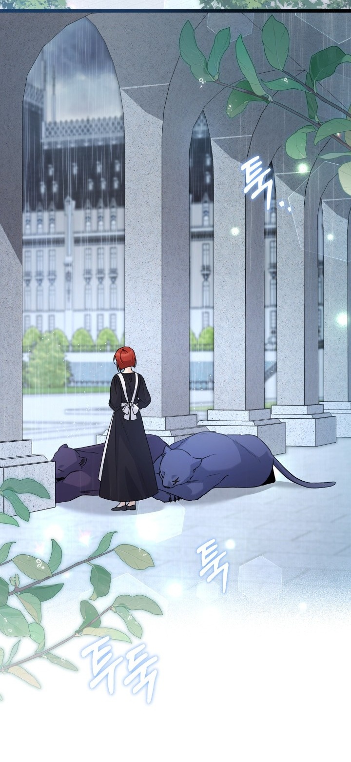 mối liên kết giữa báo đen và bé thỏ chapter 121 13