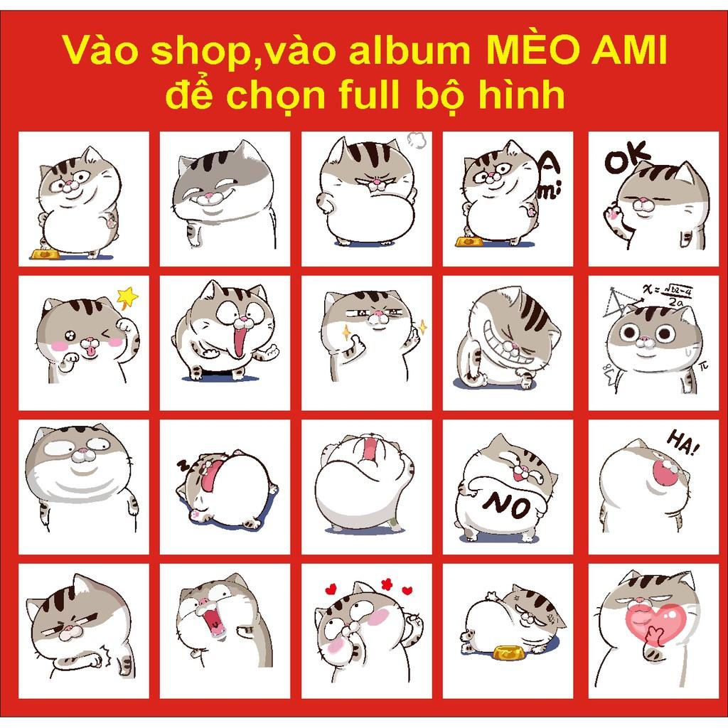 Áo thun mèo cat ami bụng bự m5,chất đẹp, bao đổi trả meo meo, phông
