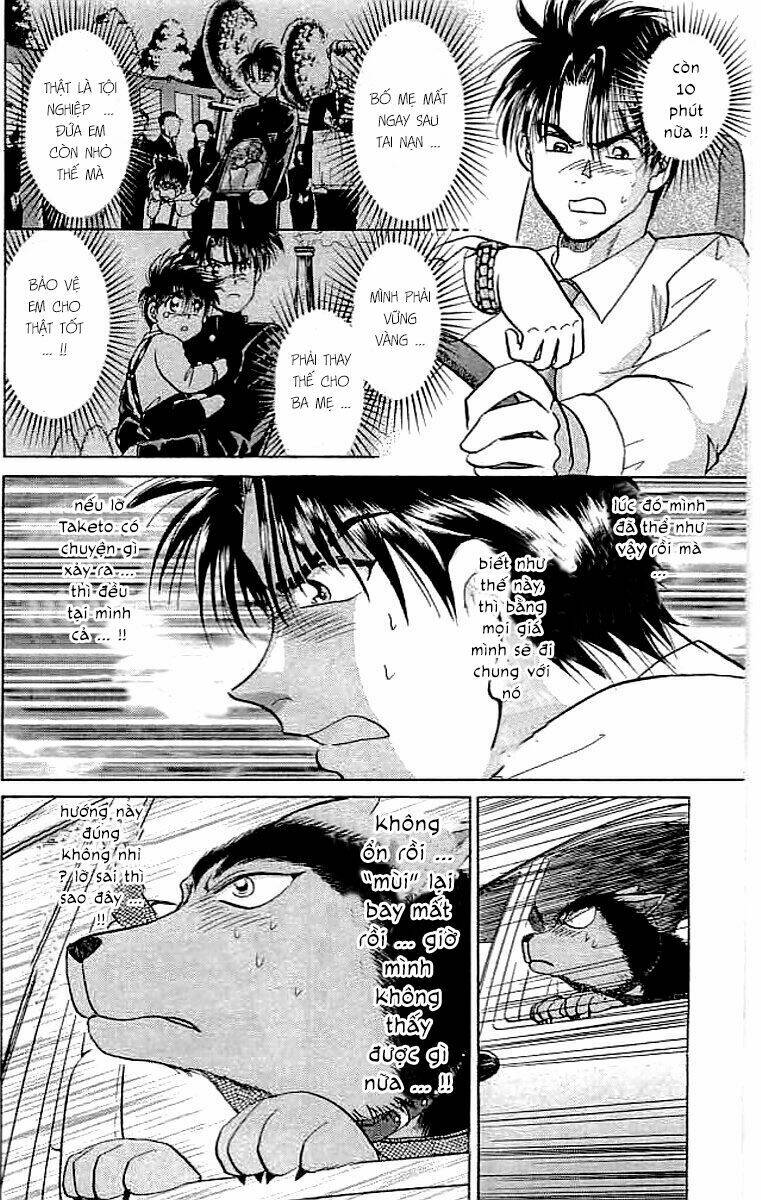 wild half chapter 11 12