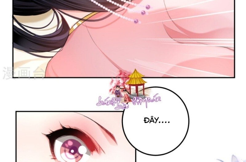 vương gia, áo lót của ngươi rơi mất rồi chapter 43 46