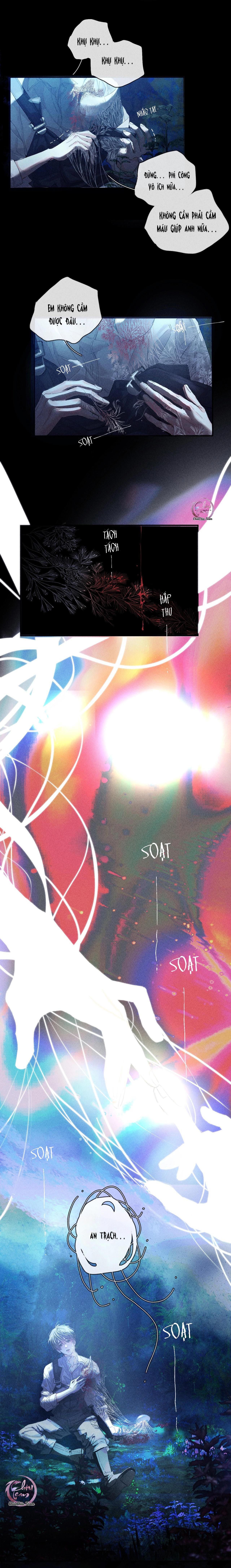 cây nấm nhỏ chapter 1.2 3