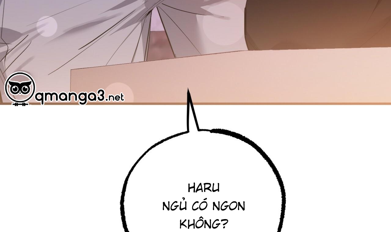 đàn thỏ của habibi chapter 51 34