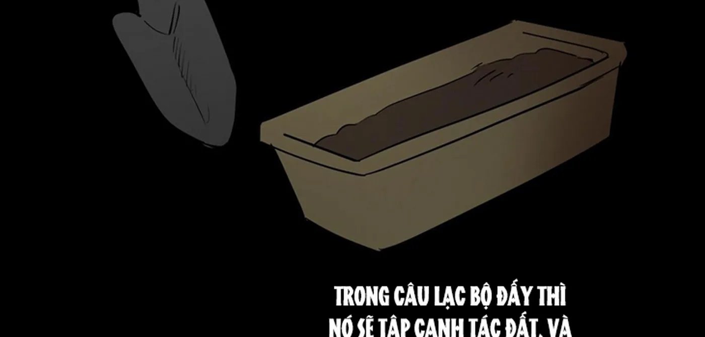 chuyện quái gì với giấc mơ đó vậy chapter 22 128