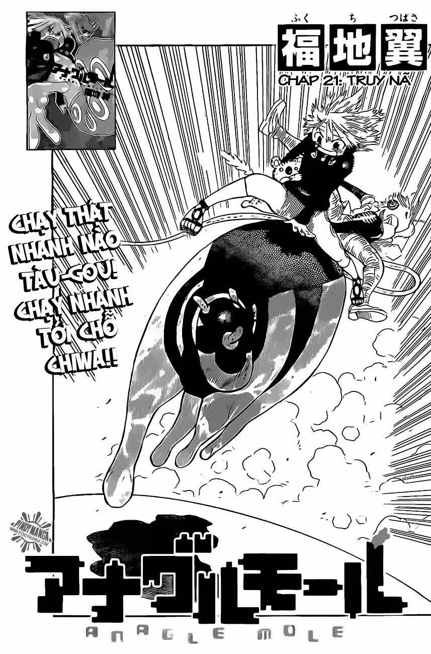 anagle mole chapter 21 2