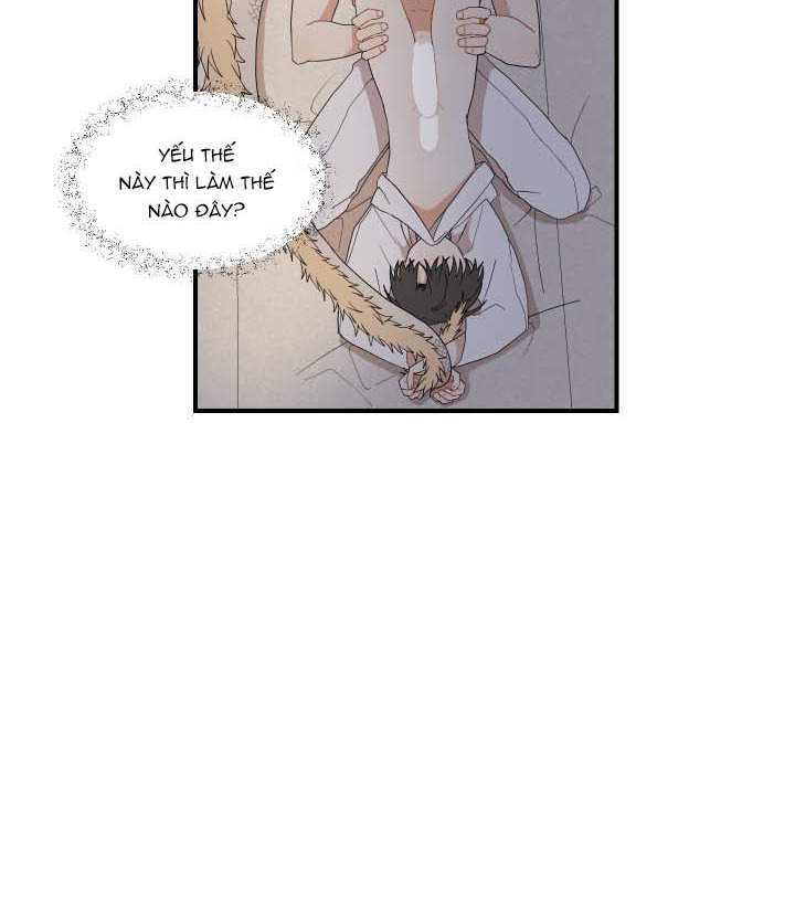 đường hoa liên kiều rơi chapter 26 16