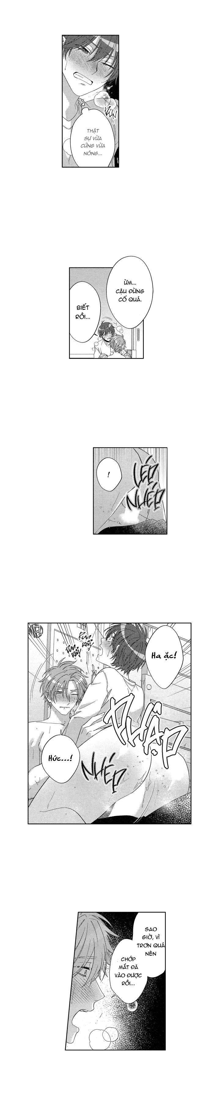 gối ôm của hoàng tử chapter 16 5