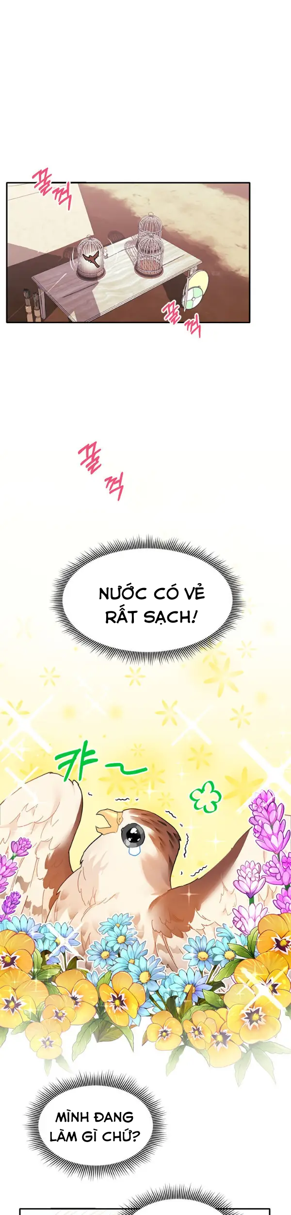 công chúa chim ưng cavier chapter 2 1