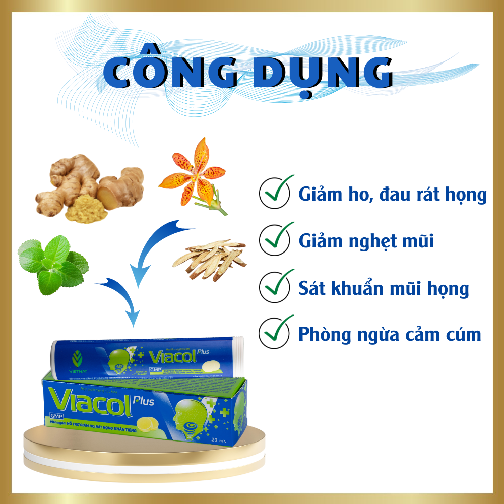 Kẹo ngậm Viacol Plus Vietnat giảm ho đau họng - 20 viên/ tuýp