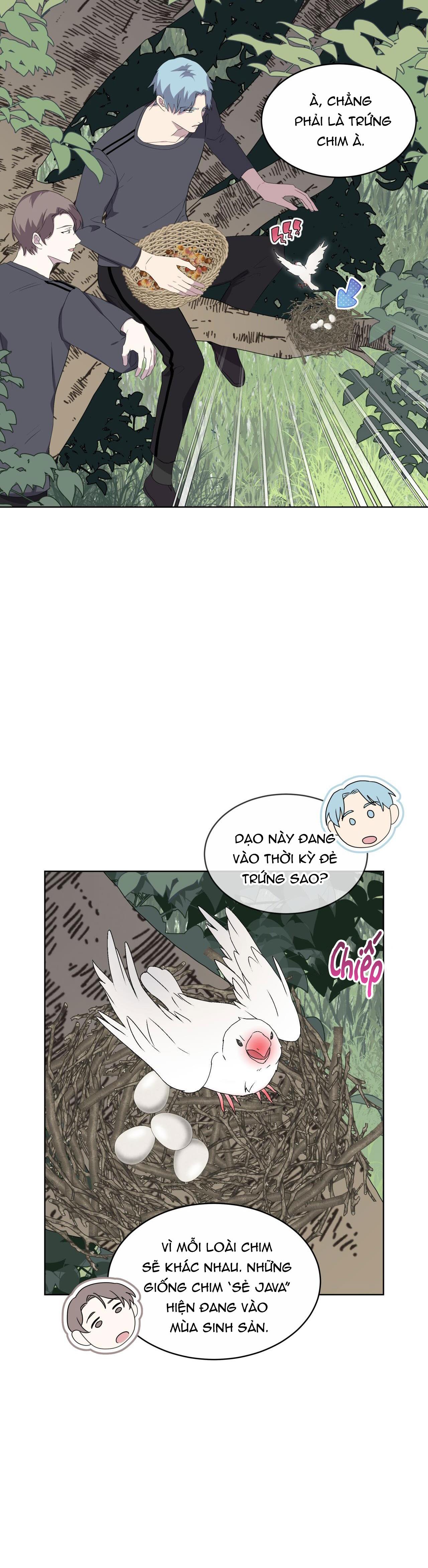 rừng biển [bl] chapter 24 5