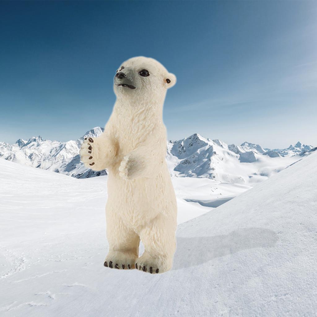 Mô Hình Gấu Bắc Cực Đáng Yêu