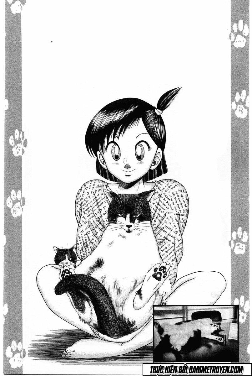 shin kotaro makaritoru! juudouhen chapter 31 20