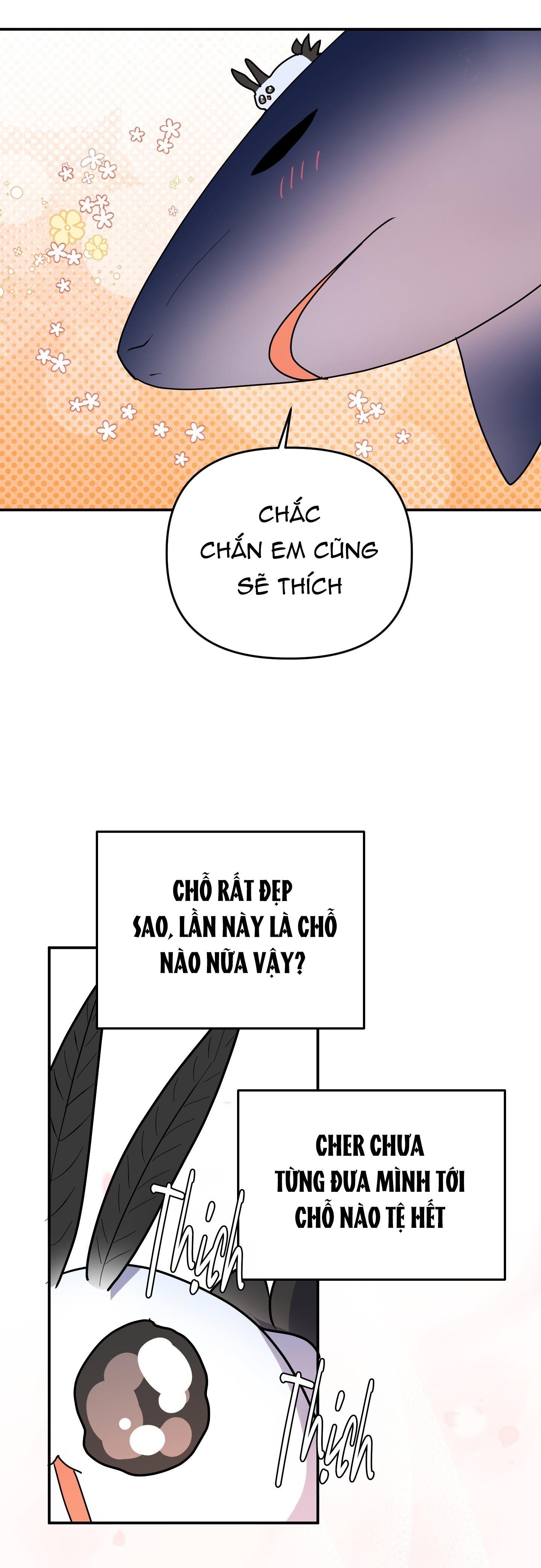 cá mập và cô dâu thỏ chapter 53 27