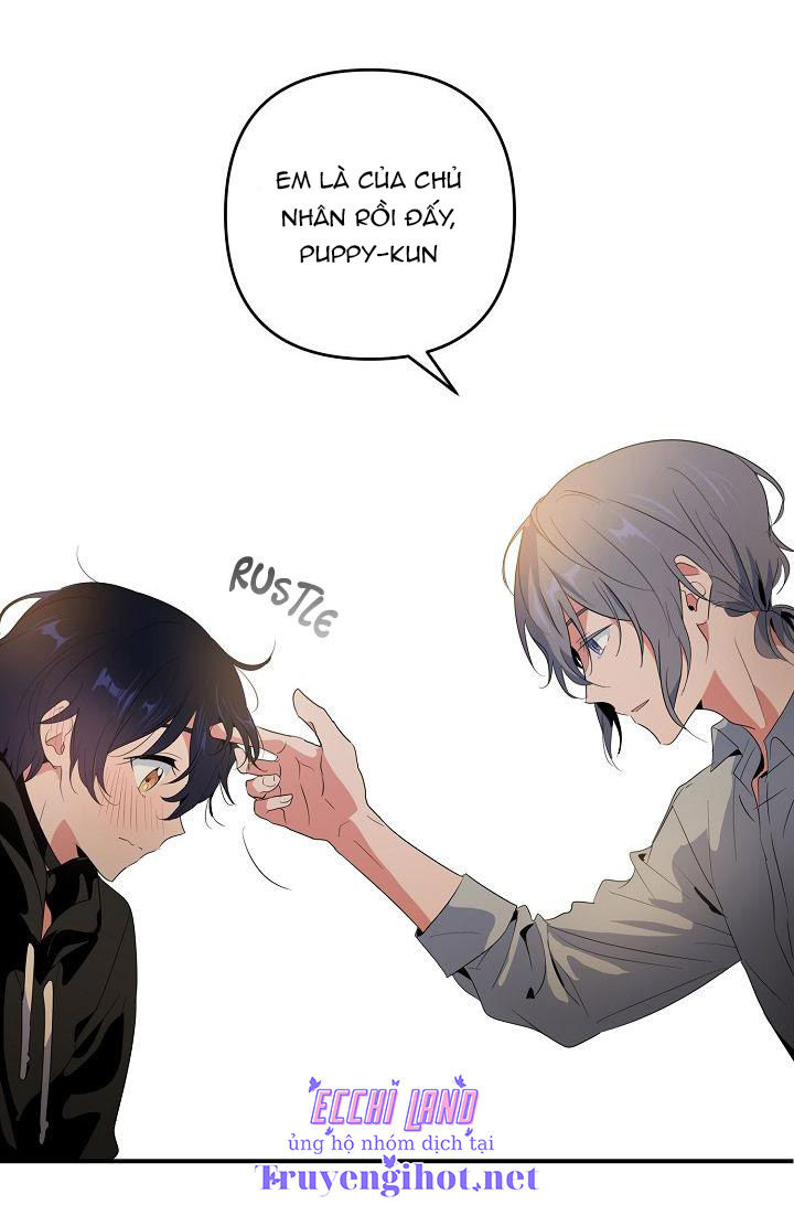 tình yêu cún con chapter 4.2 11