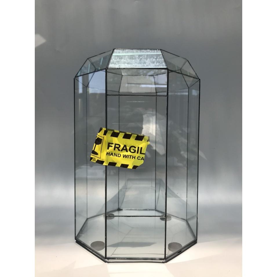 Bể Terrarium Đa Giác Setup Bán Cạn Để Bàn Làm Việc Mở Được Cánh Cửa
