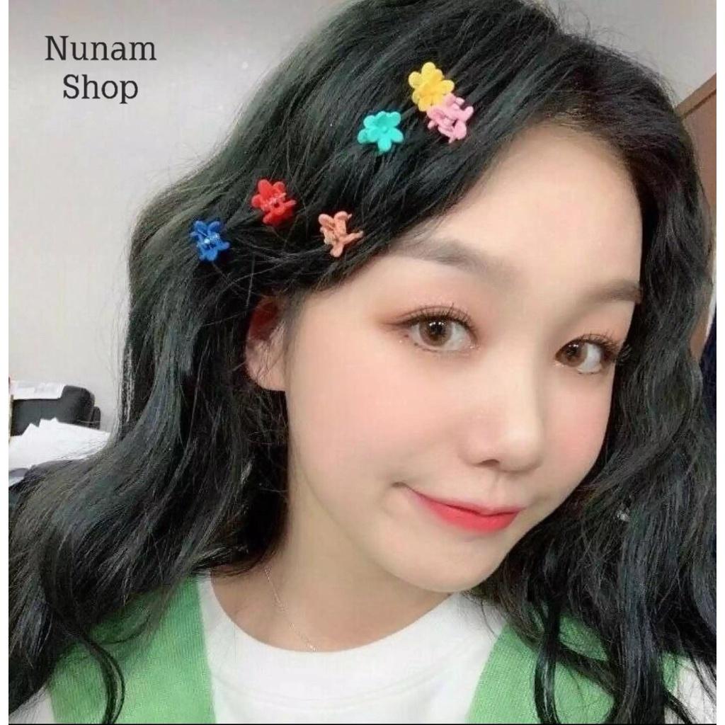 Set 10 kẹp tóc hoa nhí mini mix nhiều màu cực xinh Nunam shop
