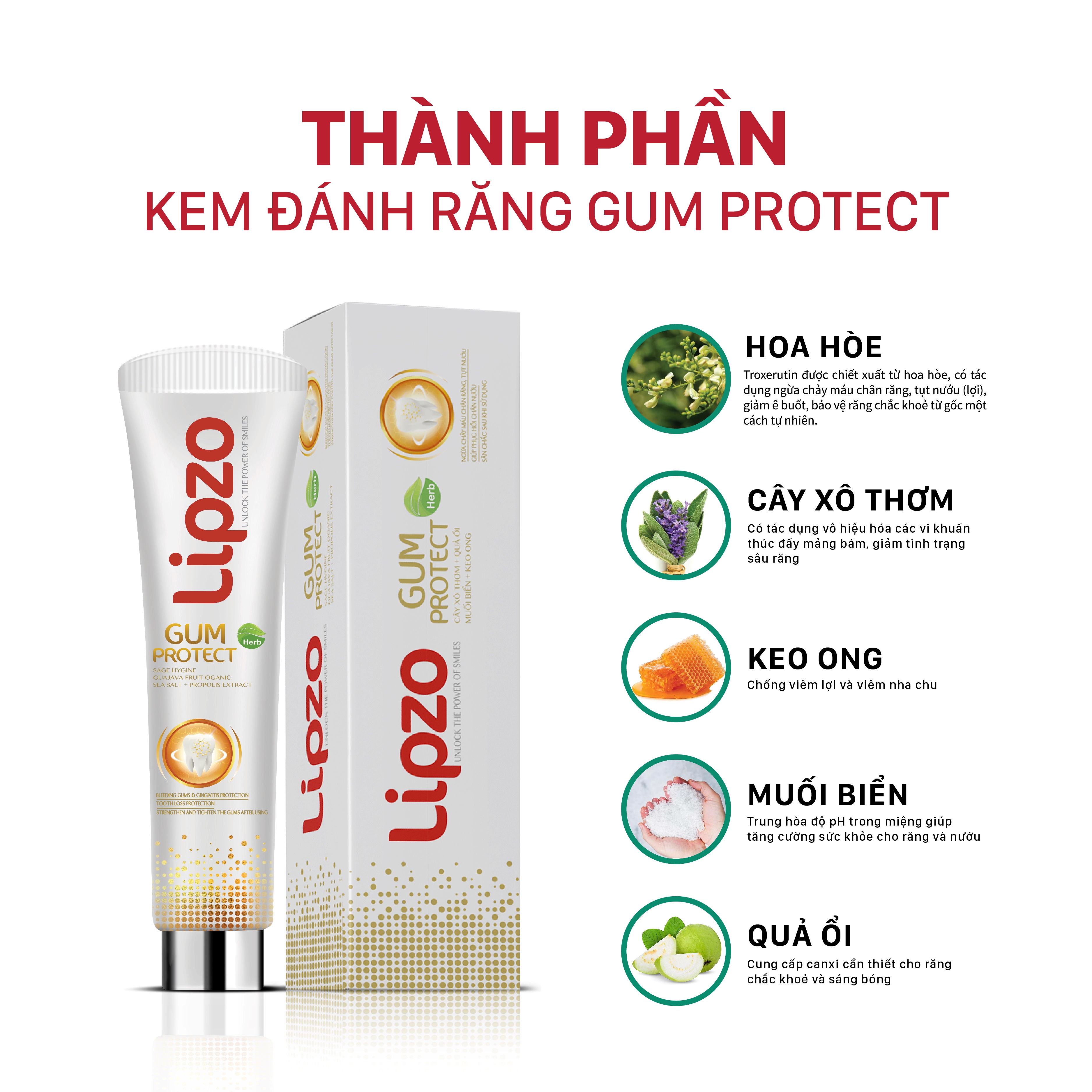 Kem Đánh Răng Dược Liệu Lipzo Gum Protect Chống Tụt Nướu 95g Ngăn Ngừa Chảy Máu Chân Răng, Khử Khuẩn, Răng Chắc Khỏe