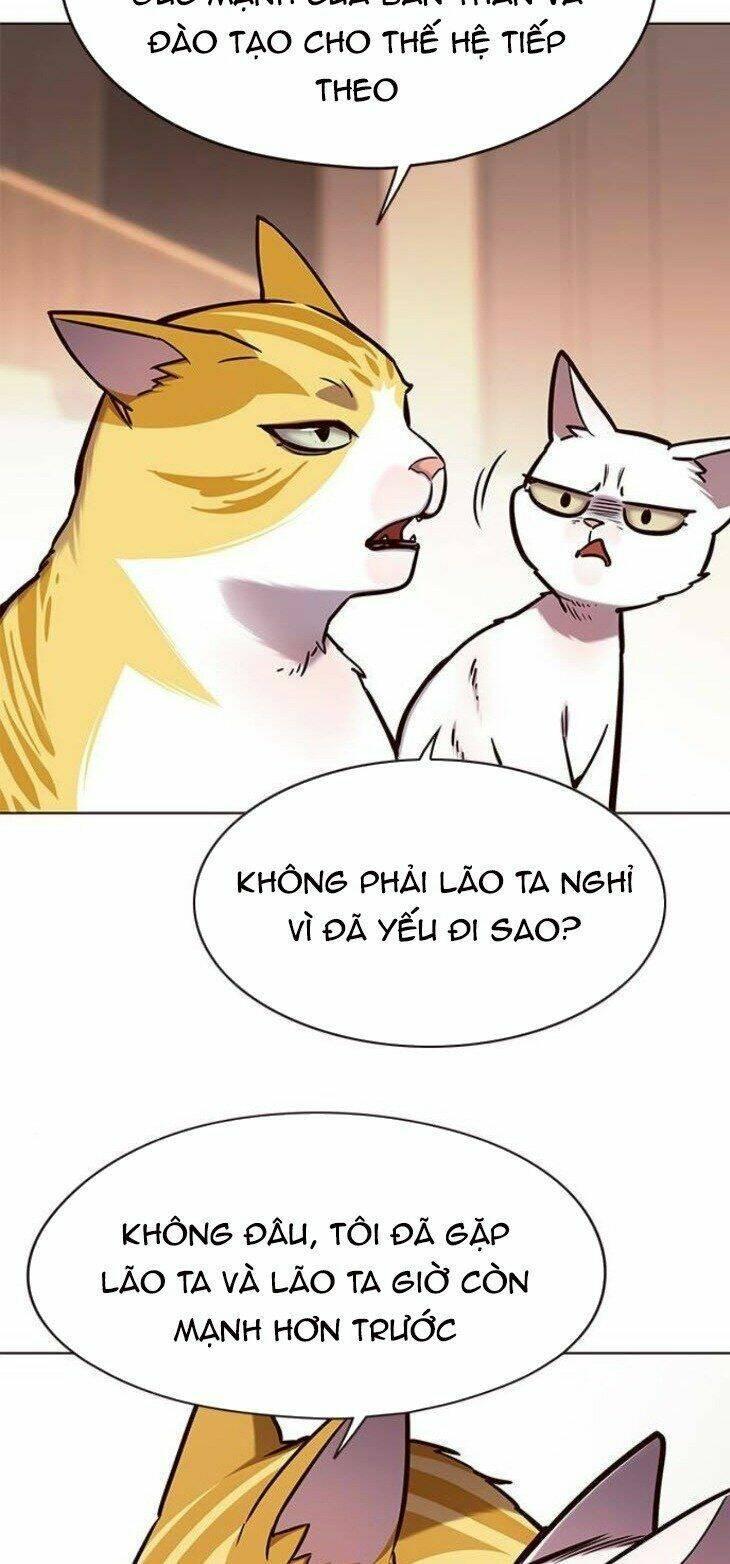 biến thân thành mèo chapter 146 48