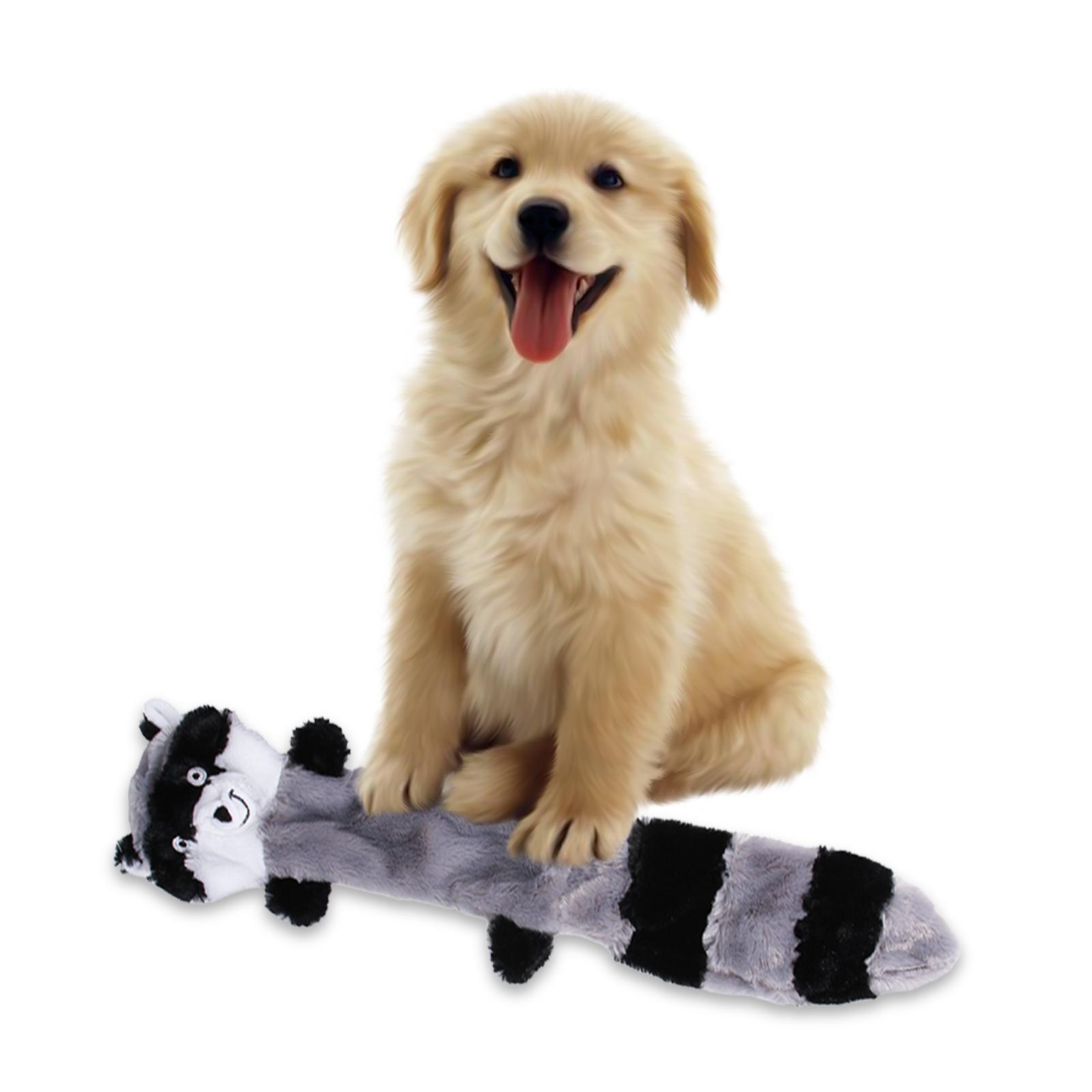 No Stuffing Plush Teething Dog Squeaky Toy for Small to Large Dogs