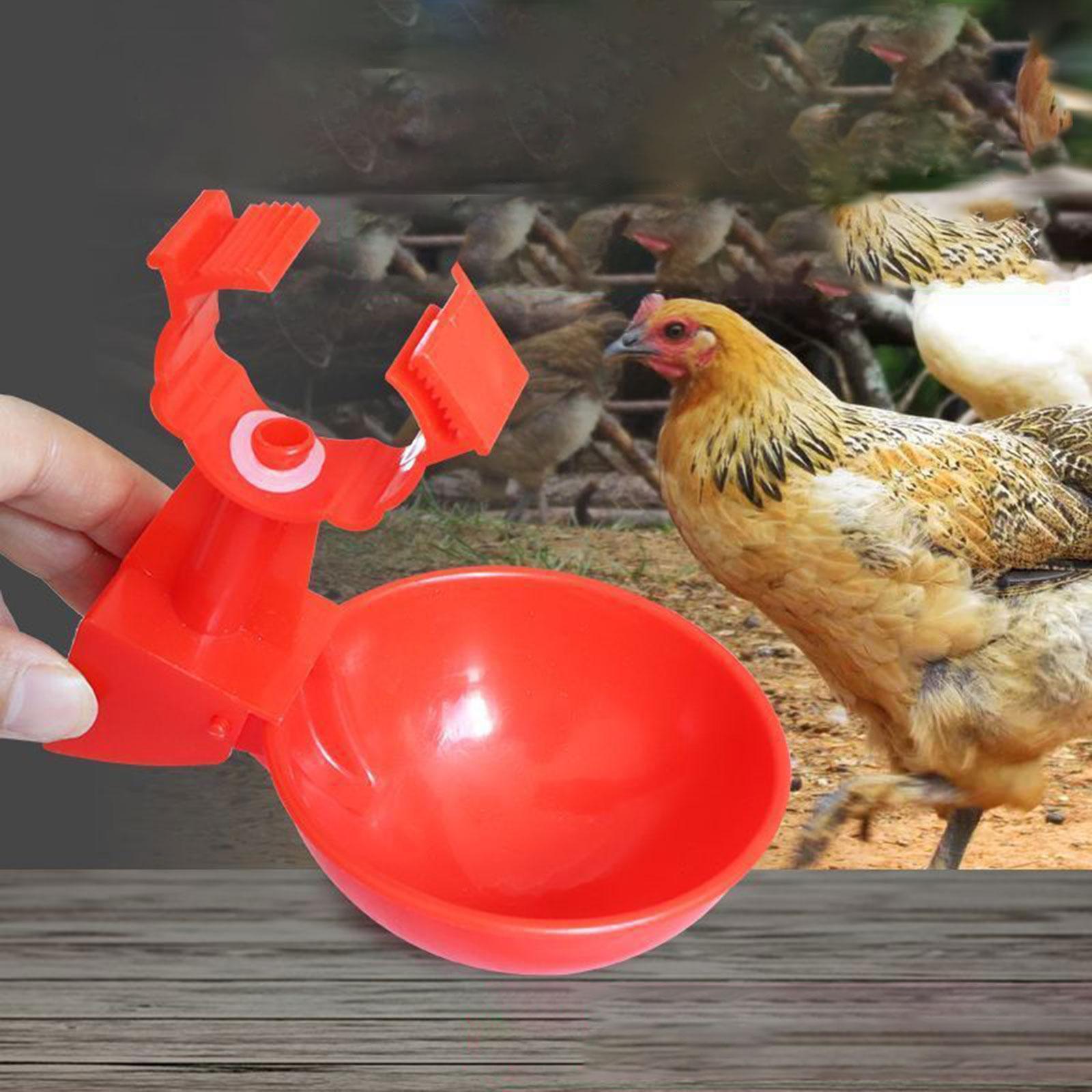 Poultry Drinking Bowl Feeder Water Dispenser Automatic Chicken Water Cup