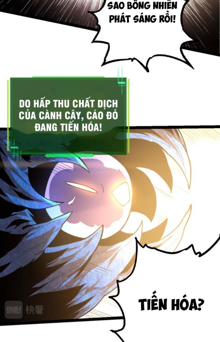 từ cây cổ thụ bắt đầu tiến hóa chapter 3 27