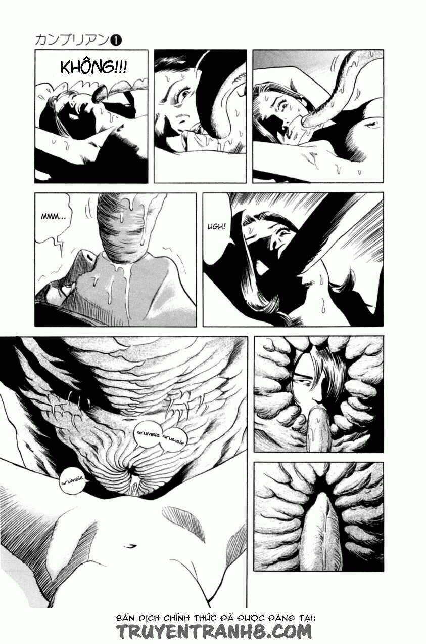 cambrian chapter 1 27