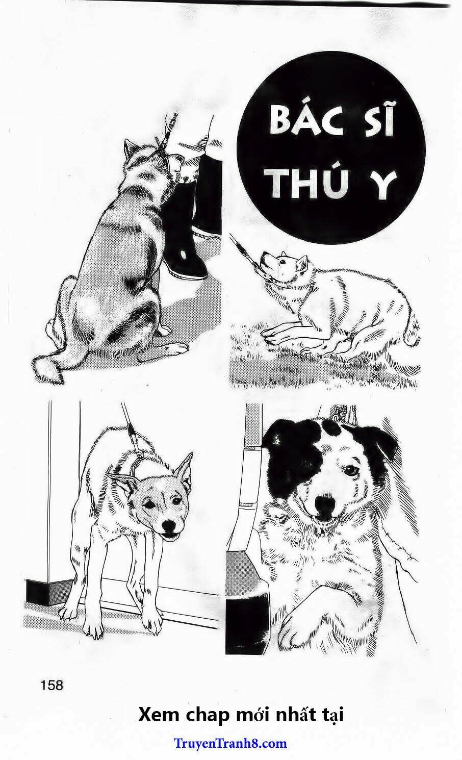 bác sĩ thú y chapter 108 4