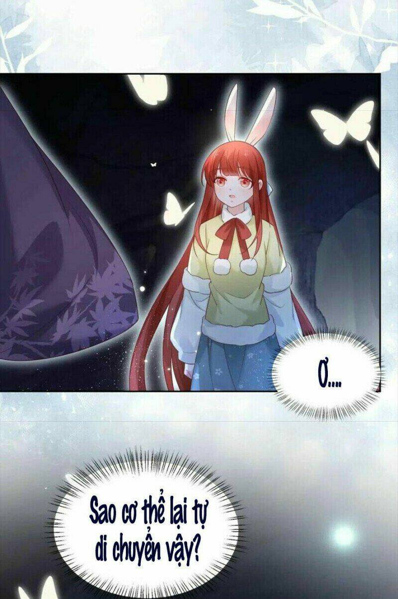 hắc hóa nam chính trực tuyến nuôi thỏ chapter 58 30