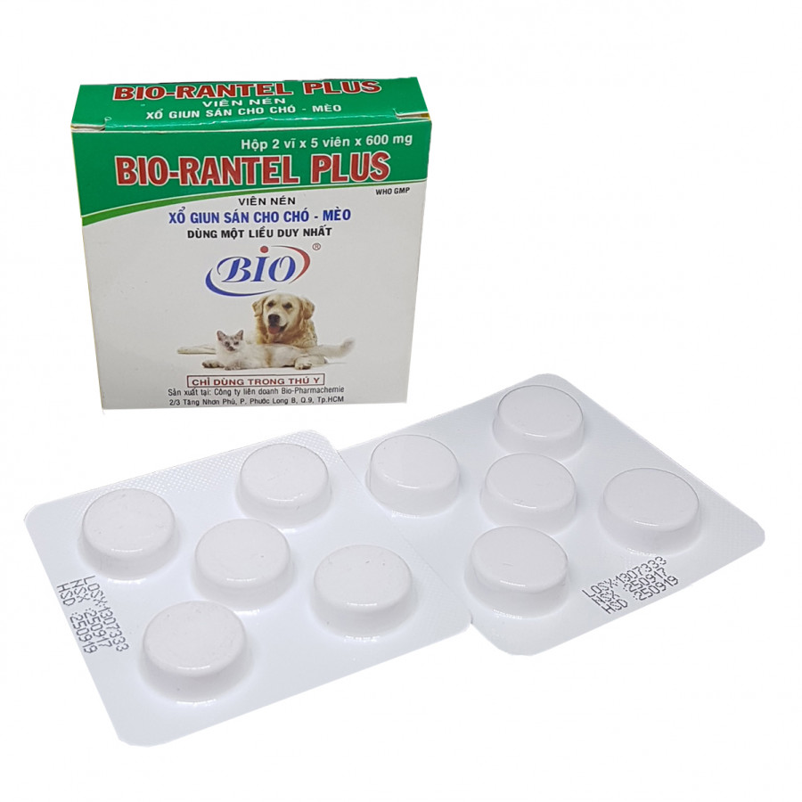 Sổ giun cho chó mèo nặng ký