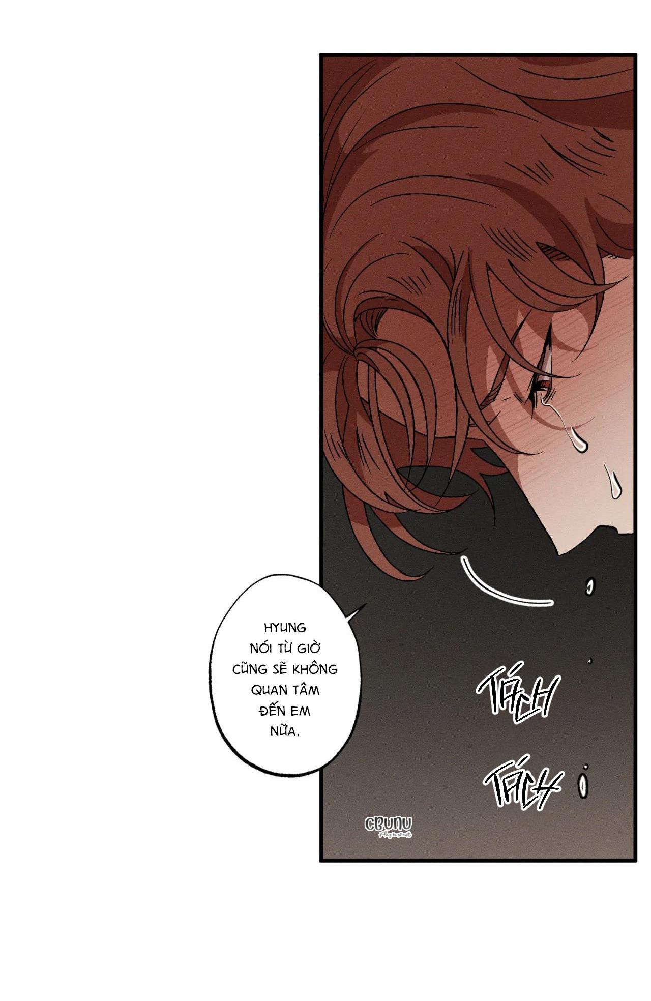 bẫy đôi ngọt ngào chapter 29 31