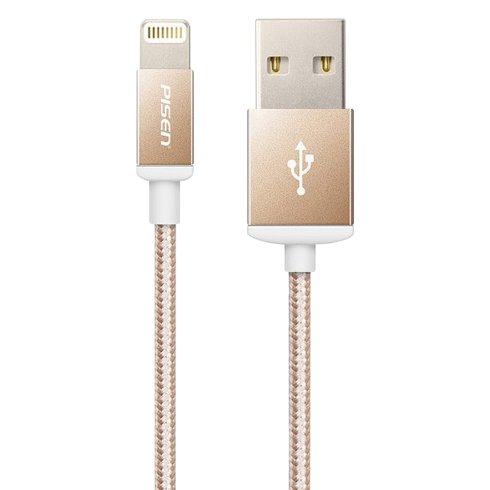 Cáp Pisen Double sided Lightning 1 m AL06-1000 (JC.036)