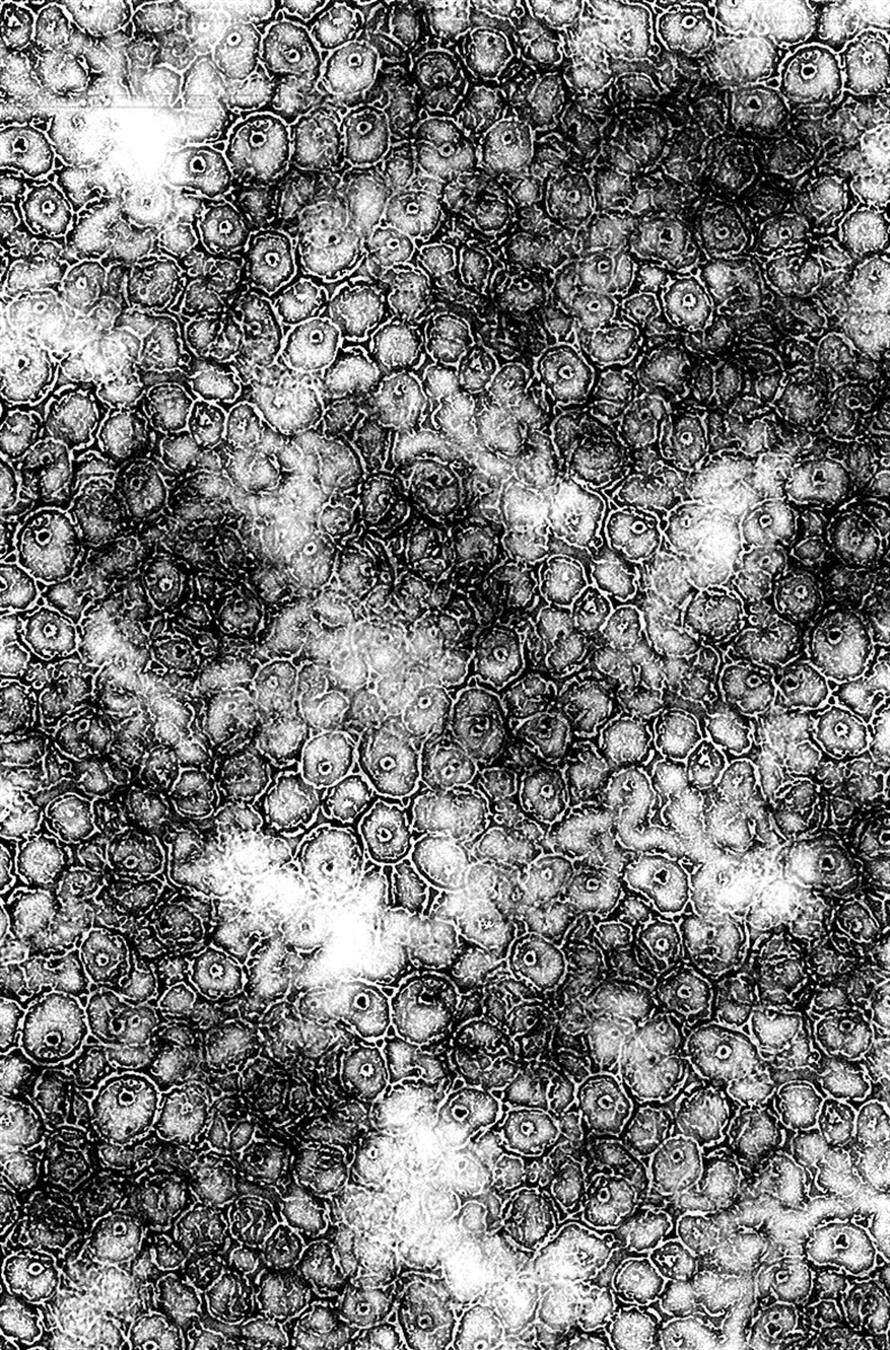 kansen rettou chapter 6 32