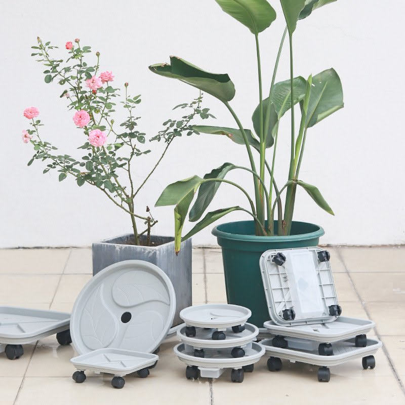 Combo chậu nhựa cao cấp Flower Island + Đế lót chậu bánh lăn có khay hứng nước thông minh