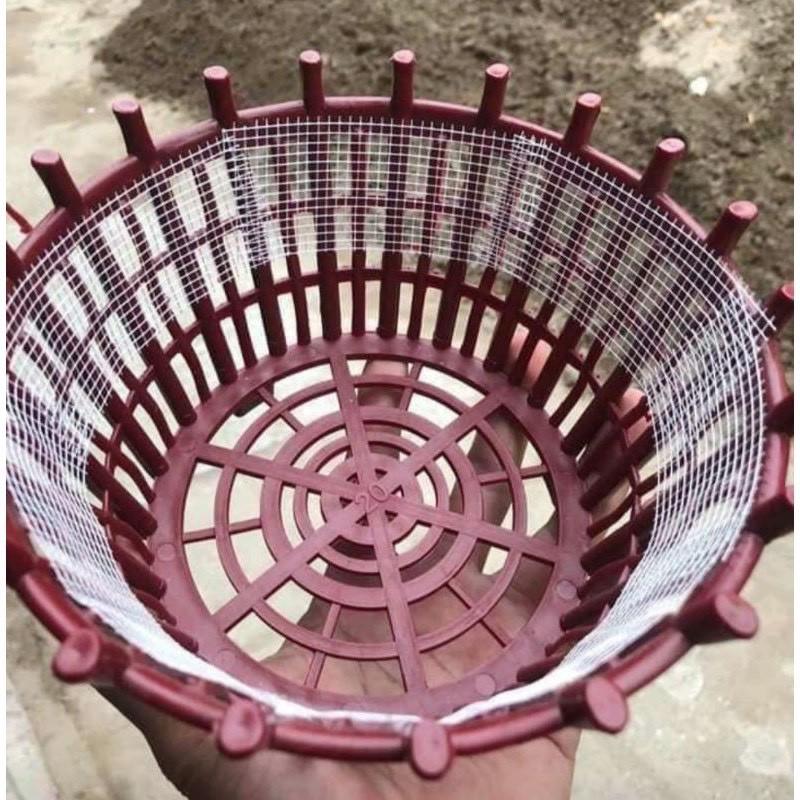Băng dính lưới thạch cao dùng để lót chậu lan tránh rơi vãi giá thể