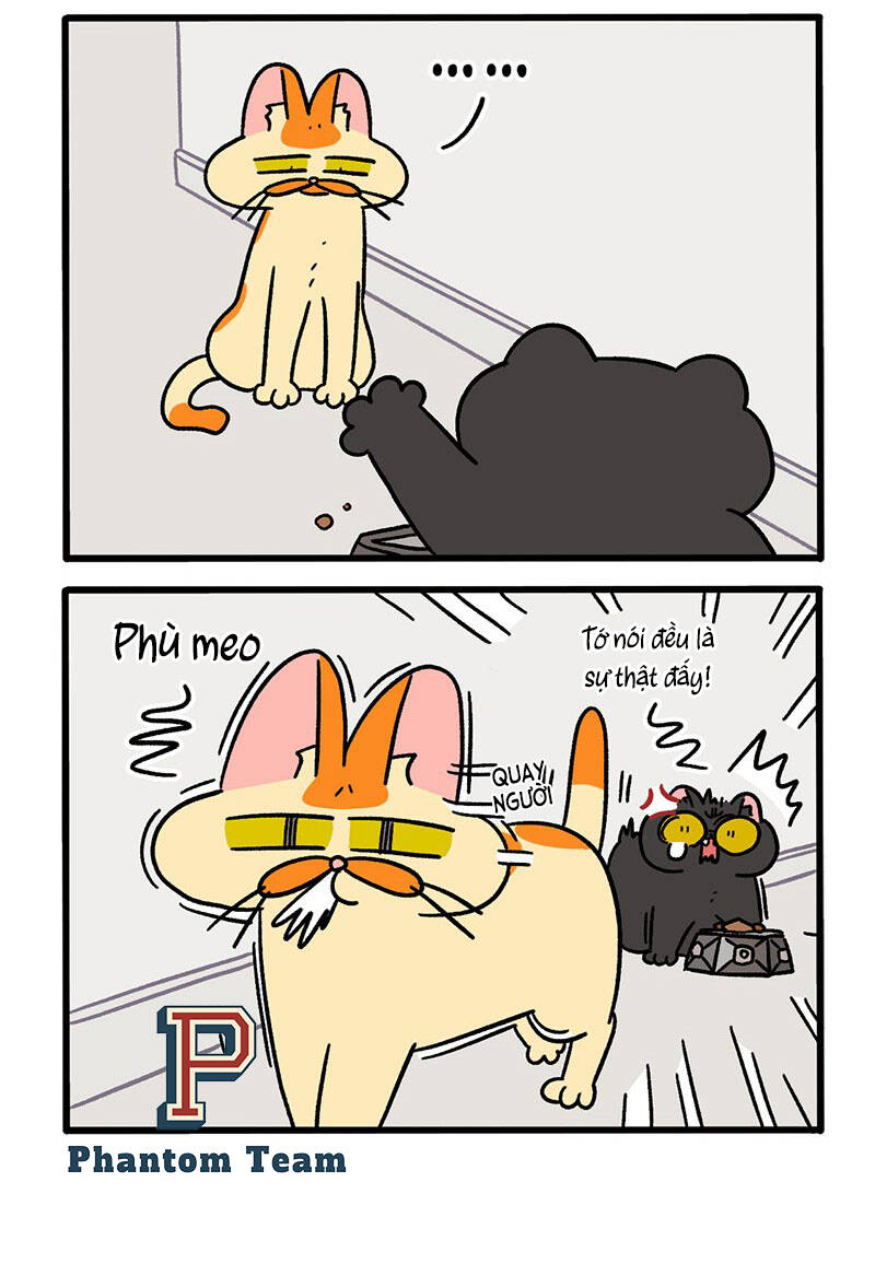 a mãn và mạch trà chapter 46 4