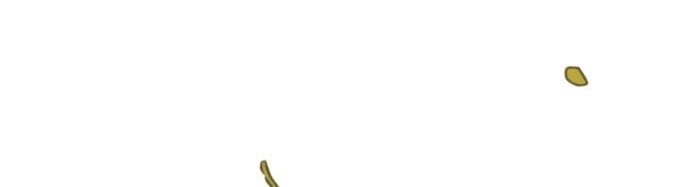 phía sau nụ cười của nàng công chúa sống sót chapter 9.2 53