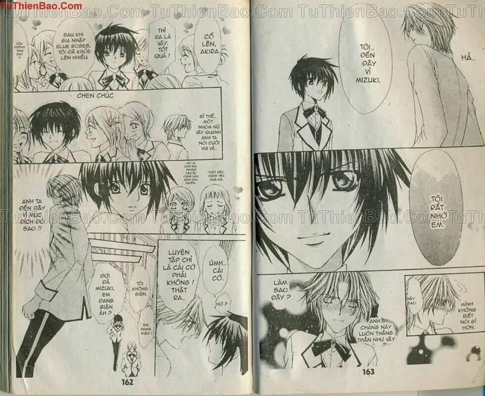 mối tình hoa hồng xanh chapter 1 80