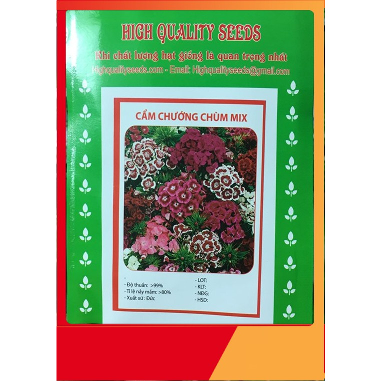 Hạt Giống Cẩm Chướng Chùm Mix - Nảy Mầm Cực Chuẩn